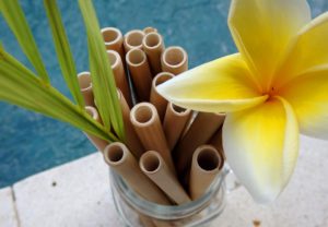 Einwegplastik Verbot Bambus Strohhalme Nachhaltig und Plastikfrei