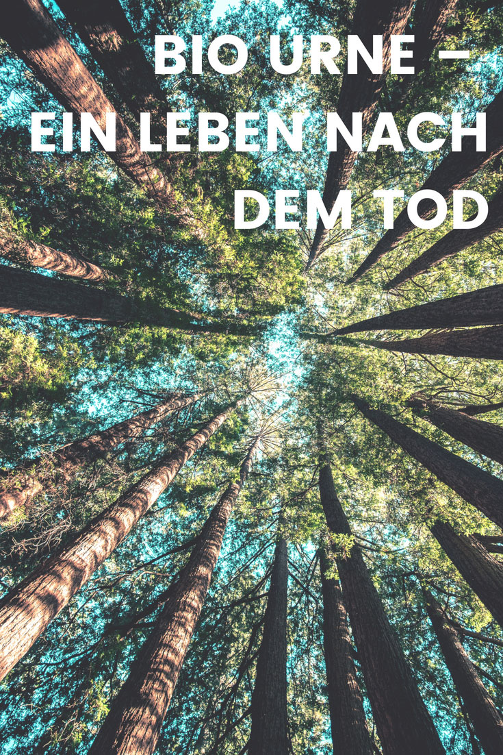 Bio Urne Bio Urne - Leben nach dem Tod. Ich werde ein Baum. Alles was du wissen musst.