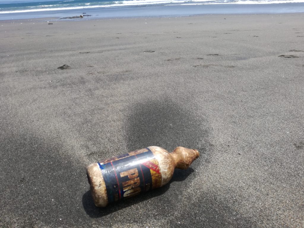 Einwegplastik Verbot Costa Rica Plastikflasche Strand Meer