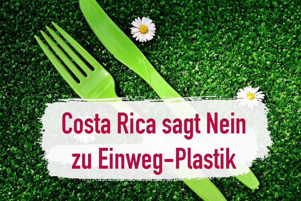 Einwegplastik Verbot in Costa Rica Plastikfreie Produkte