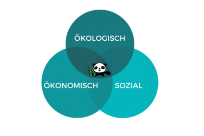 Nachhaltigkeit - 3 Säulen Modell - Ökologisch Ökonomisch Sozial EcoYou