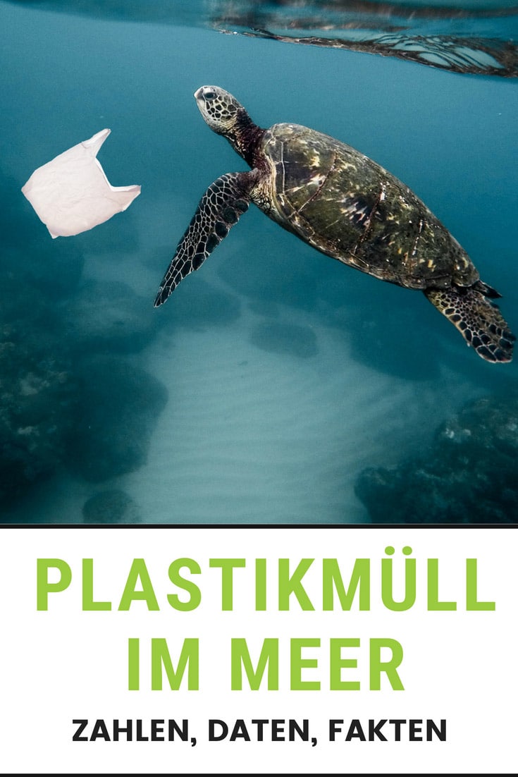 Plastikmüll im Meer Ozean Folgen Lösungen Zero Waste EcoYou Weltmeere Müll plastik Plastikfrei Leben ohne Plastik