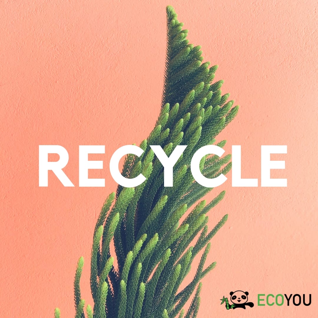 Recycle – Zero Waste Lifestyle Refuse Ablehnen Zero Waste R Reduce Rethink Recycle Plastikfrei Leben ohne Plastik EcoYou Tipps Blog