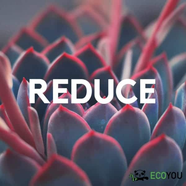 Refuse Ablehnen Zero Waste R Reduce Rethink Recycle Plastikfrei Leben ohne Plastik EcoYou Tipps Blog
