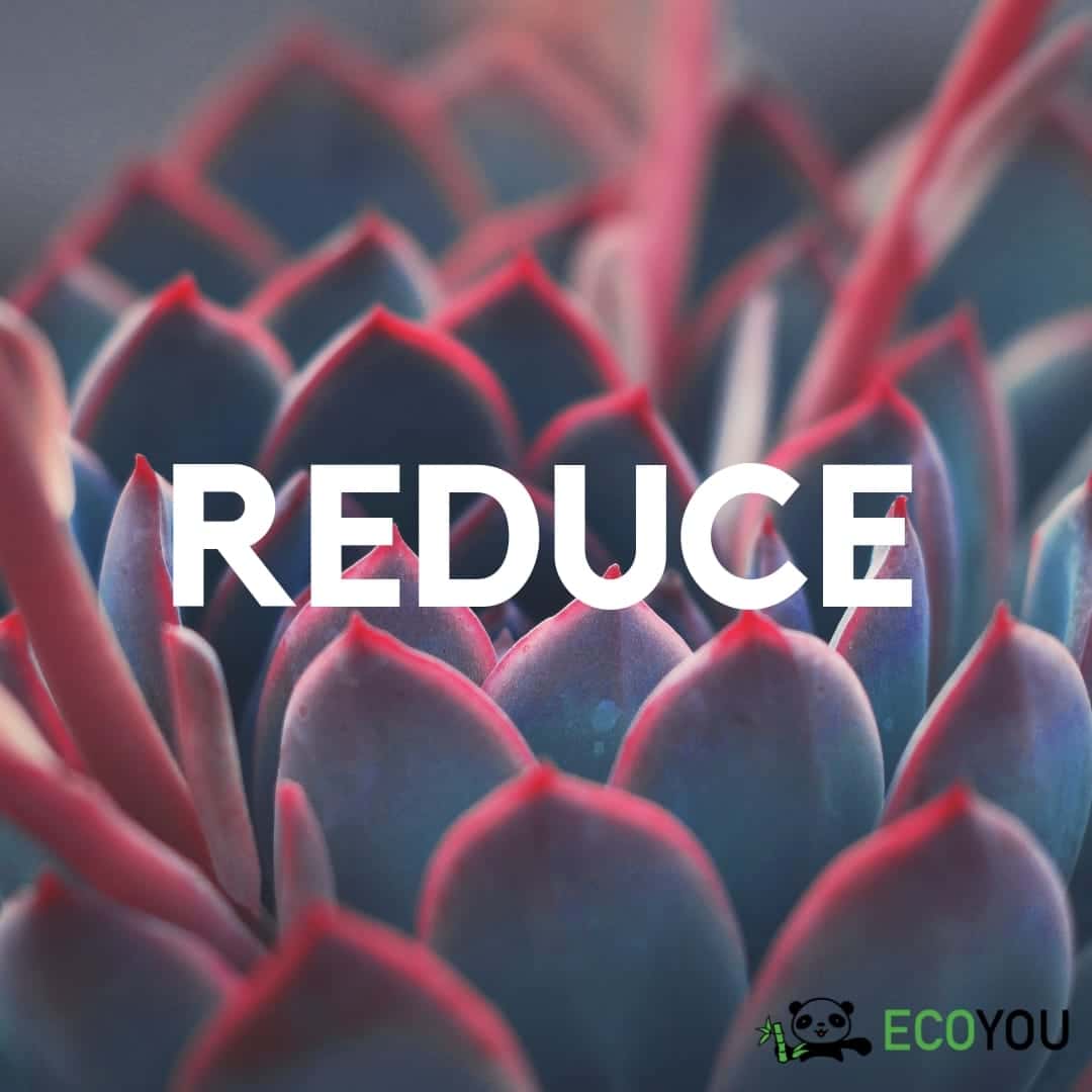 Reduce – Zero Waste Refuse Ablehnen Zero Waste R Reduce Rethink Recycle Plastikfrei Leben ohne Plastik EcoYou Tipps Blog