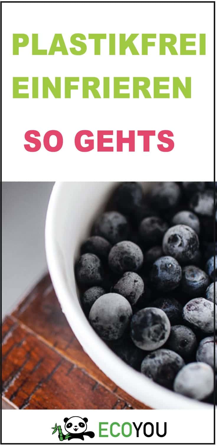 Plastikfrei Einfrieren Tipps und Tricks Plastikfrei einfrieren ohne Plastik Leben Glasbehälter Brot tipps Zero Waste EcoYou