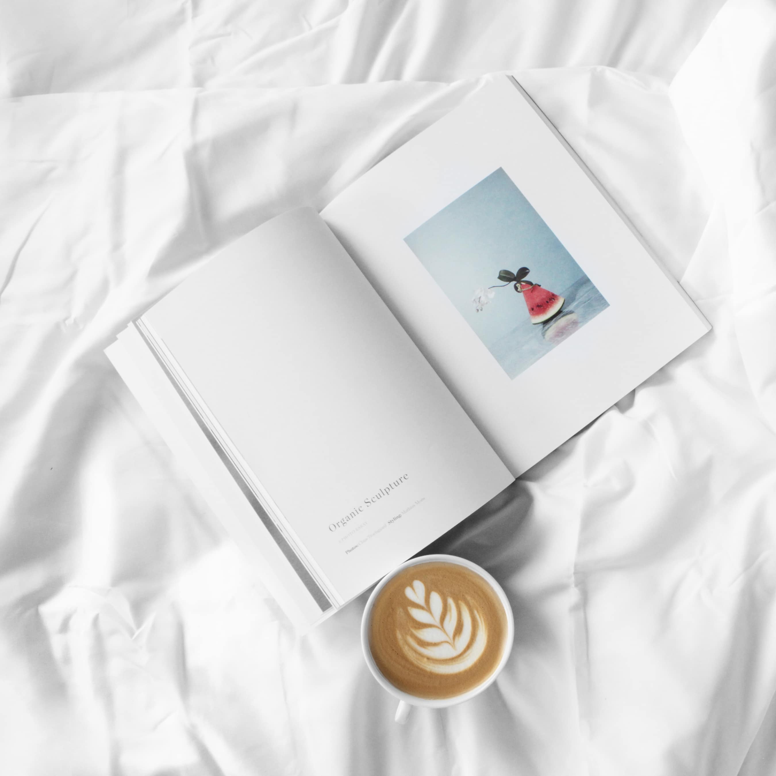 Buch_Lesen Plastikfrei Leben ohne Plastik Besser Leben Tipps Umweltfreundlich Weihnachten sinnvolle Geschenke Geburtstag Weihnachtsgeschenke Nachhaltig Öko
