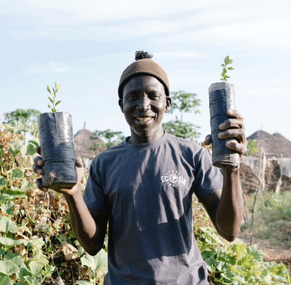 Ecosia: Die Suchmaschine, Die Bäume Pflanzt - EcoYou