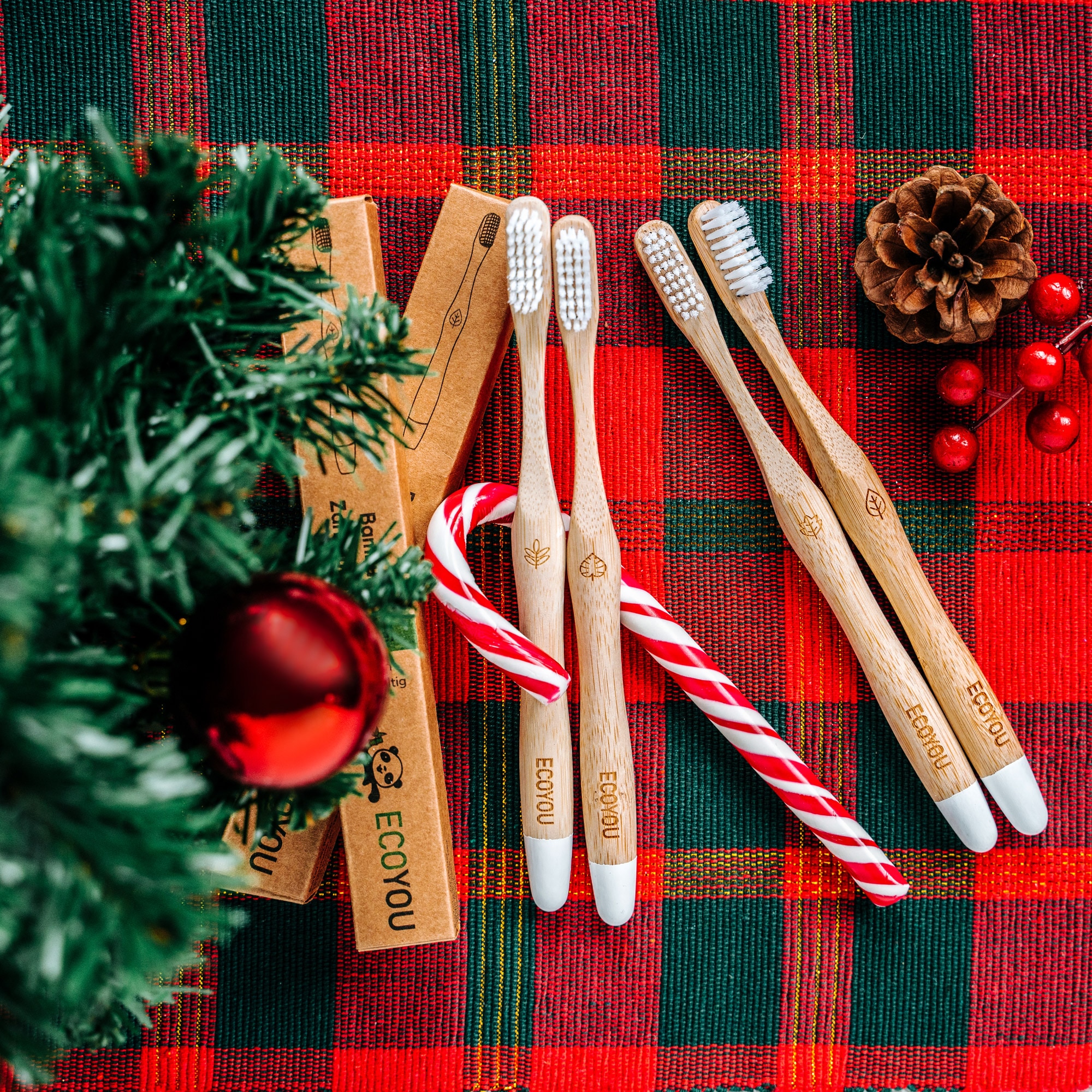 EcoYou Zahnbuerste Bambus Zahnbürsten von EcoYou perfektes nachhaltiges Weihnachtsgeschenk plastikfrei Zero Waste