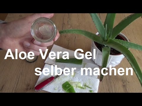 Video-Vorschau
